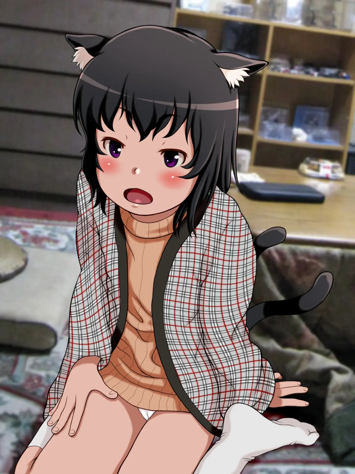 Ie Ni Kaereba Neko Ga Iru | 집에 돌아가면 괭이가 있다.